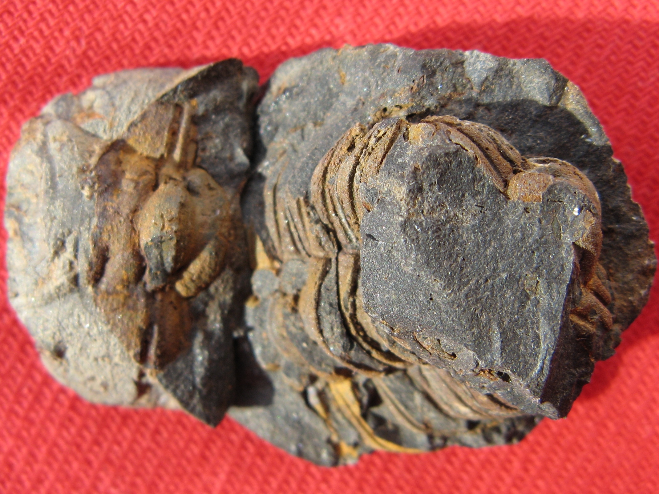 296 Těškov 21-7-2013 38a