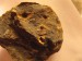 373 Rokycany-Díly 10-10-2015 Trinucleoides reussi